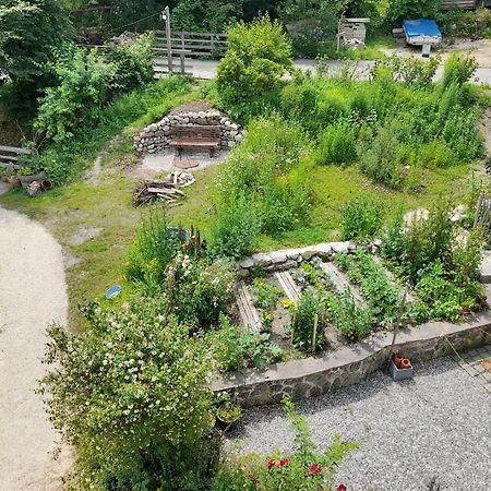 Im Naturgarten 타이젠도르프 외부 사진